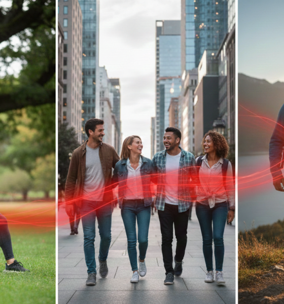 Provascin: A Complete Guide to Meaning, Uses, Benefits, and Future Potential